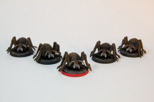 Cave spiders